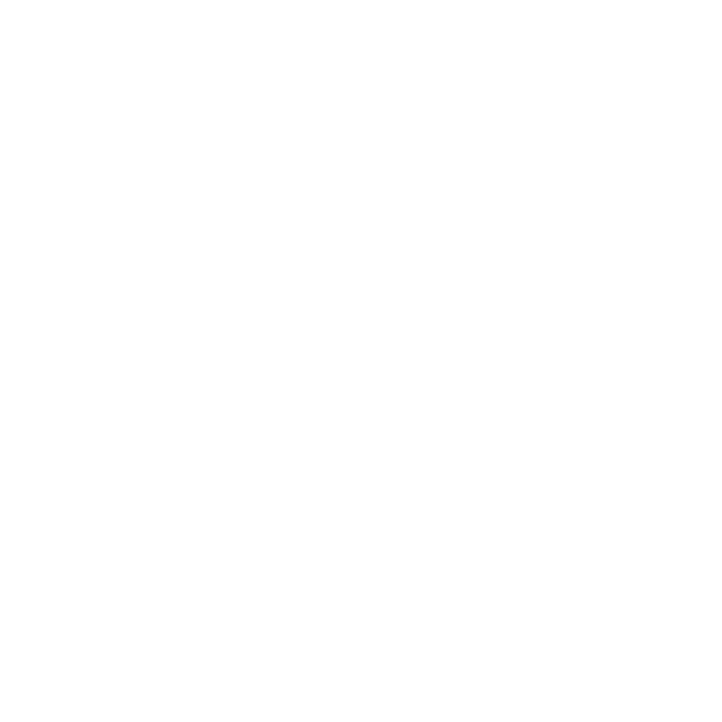 Divisimate Logo